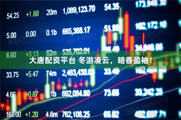 大唐配资平台 冬游凌云，暗香盈袖！
