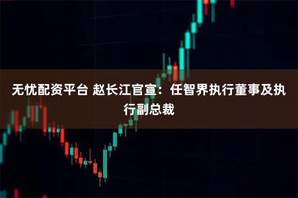 无忧配资平台 赵长江官宣：任智界执行董事及执行副总裁